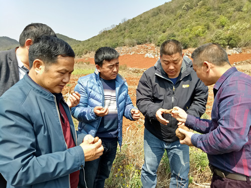 西畴多少人口_西畴精神(3)
