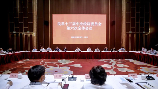 民革十三屆中央經濟委員會第六次全體會議召開