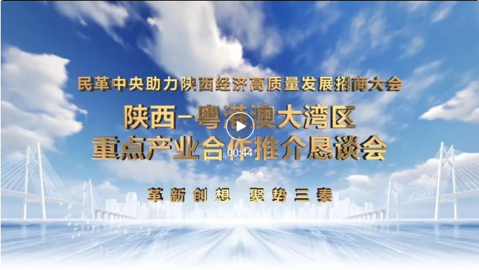 民革中央助力陝西經濟高質量發展招商大會系列活動在廣州市舉辦