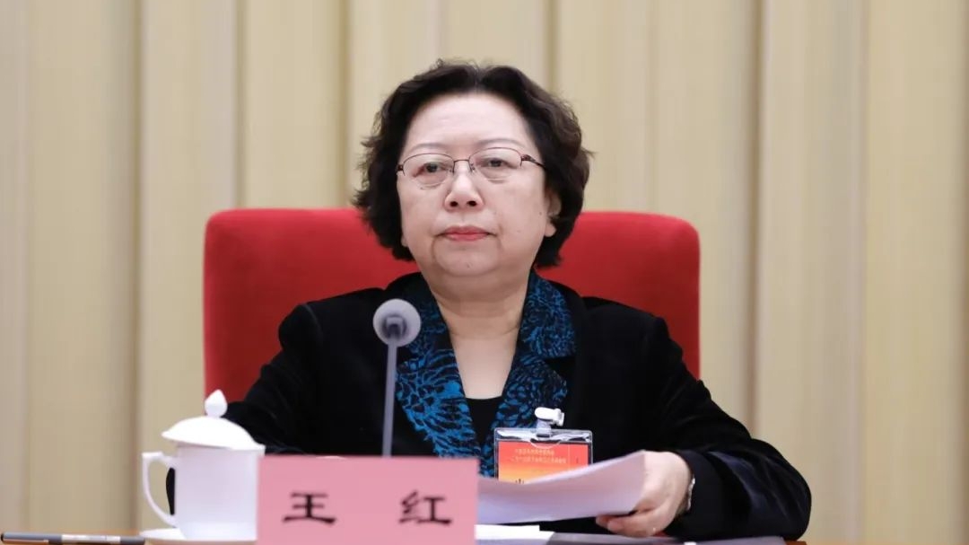 民革中央副主席王红主持闭幕会