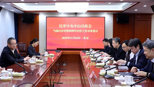 民革中央召开中山议政会 聚焦“当前经济形势和明年经济工作对策建议”