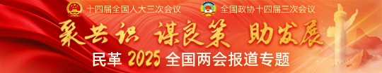 聚共识、谋良策、助发展——民革2025全国两会报道专题