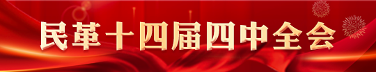 民革十四届四中全会