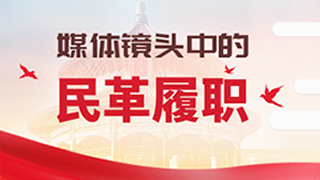 媒体镜头中的民革两会履职（三八妇女节专辑）