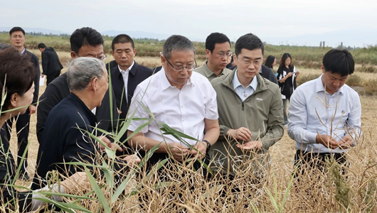 鄭建邦率隊赴新疆調研鹽鹼地綜合開發利用治理