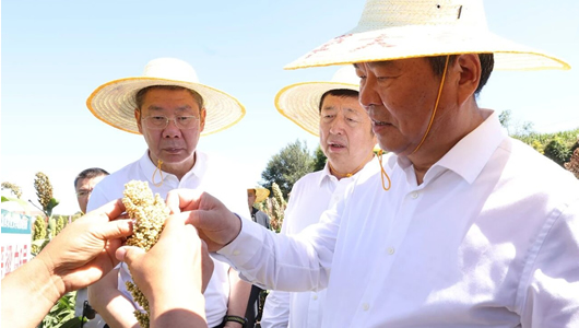 何報翔率隊赴山西調研“提升有機旱作農業品質 推動縣域經濟高質量發展”